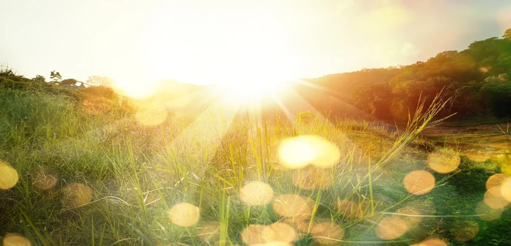 Caring For Your Loved One During Hospice Services